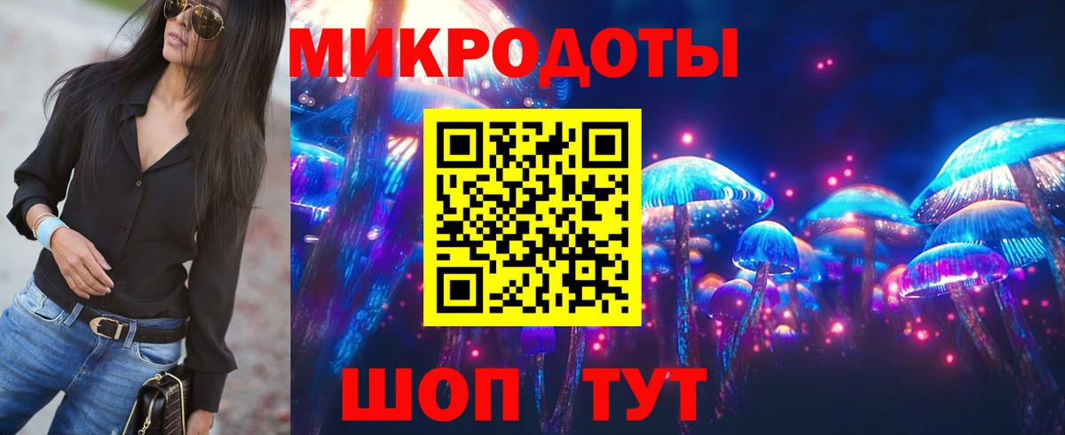 Псилоцибиновые грибы Psilocybe Соль-Илецк